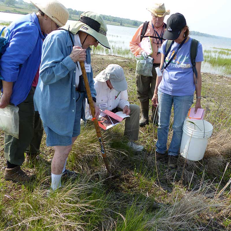 BioBlitz